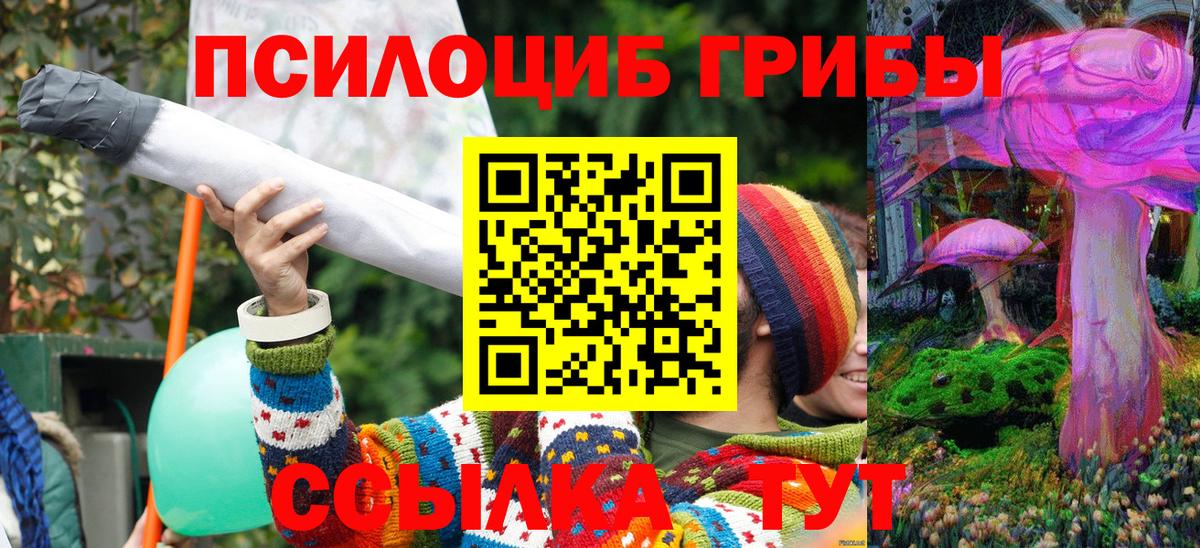 Псилоцибиновые грибы Magic Shrooms Саяногорск