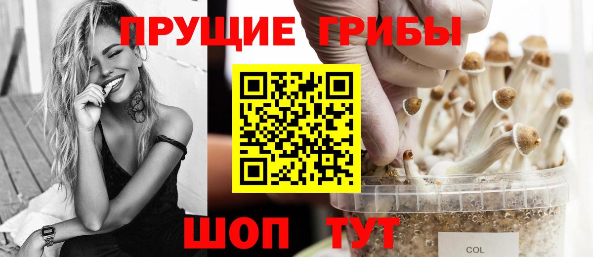даркнет сайт  Вход с VPN  Саяногорск  Галлюциногенные грибы мицелий 